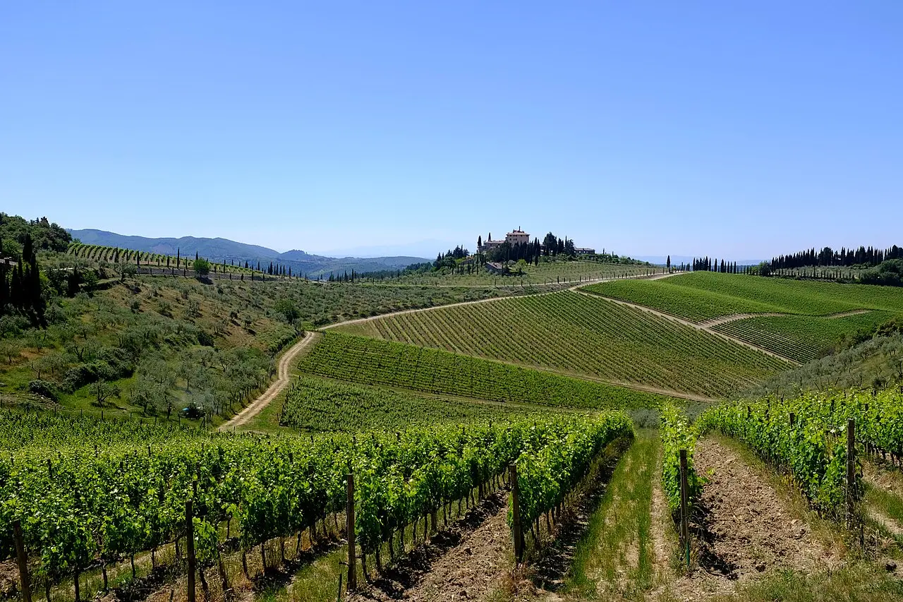 Colinas del Chianti, en la Toscana