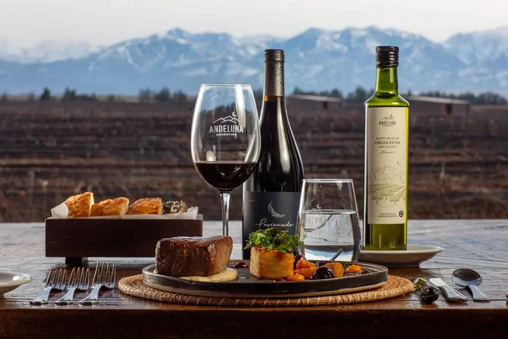 Mesa servida con vino frente a la cordillera