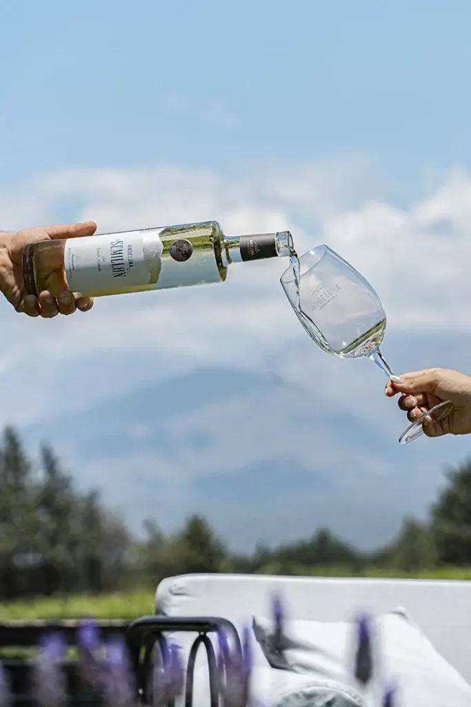 Vino blanco servido con la montaña de fondo