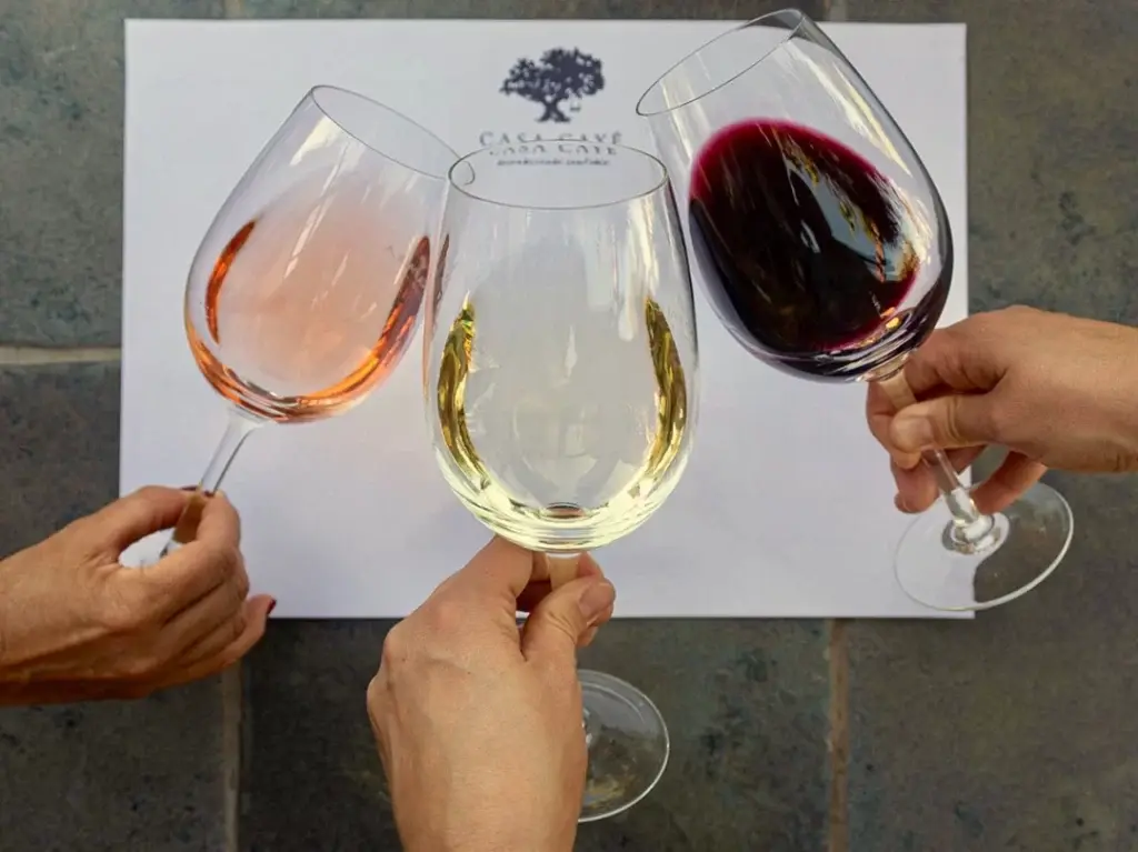 Copas de vino tinto, blanco y rosado brindando